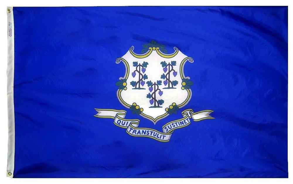 Connecticut Nylon State Flag