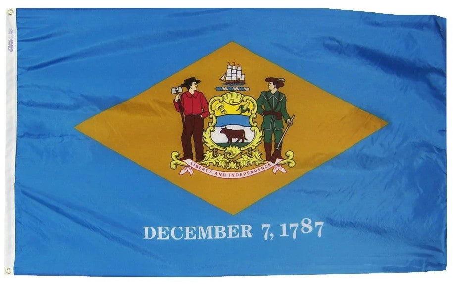 Delaware Nylon State Flag