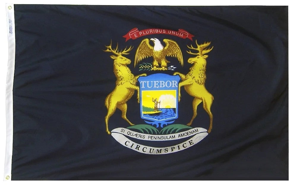 Michigan Nylon State Flag