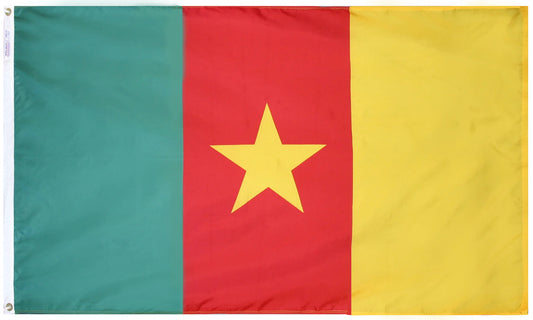 Cameroon Nylon Flag