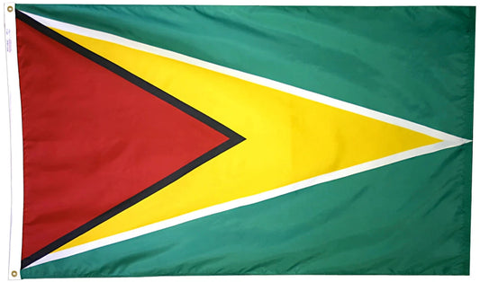 Guyana Nylon Flag