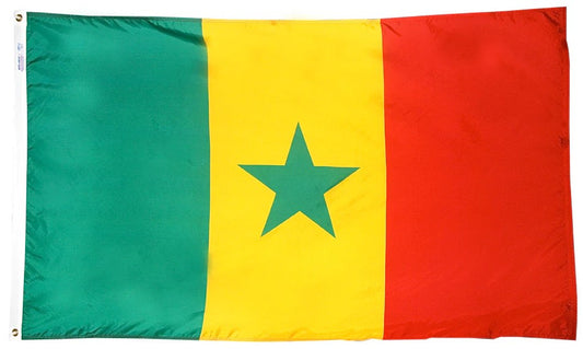 Senegal Nylon Flag
