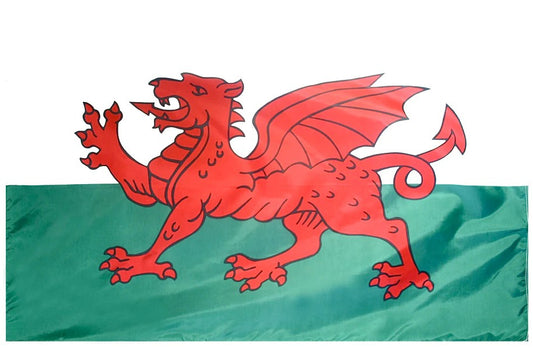Wales Nylon Flag