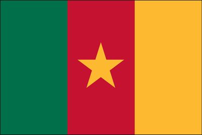 flag of Cameroon
