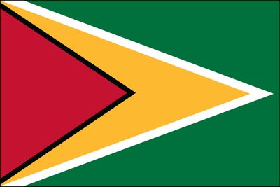 flag of Guyana