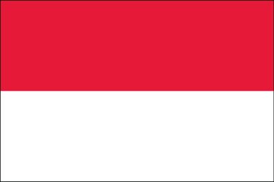 flag of Indonesia